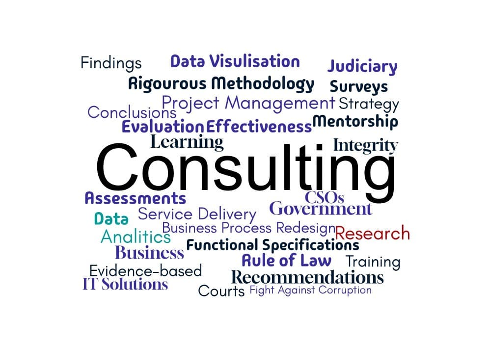 consulting, monitoring, evaluation, MEL, business process redesign, data visualisation, functional specifications, software development, judiciary, surveys, project management, data analytics